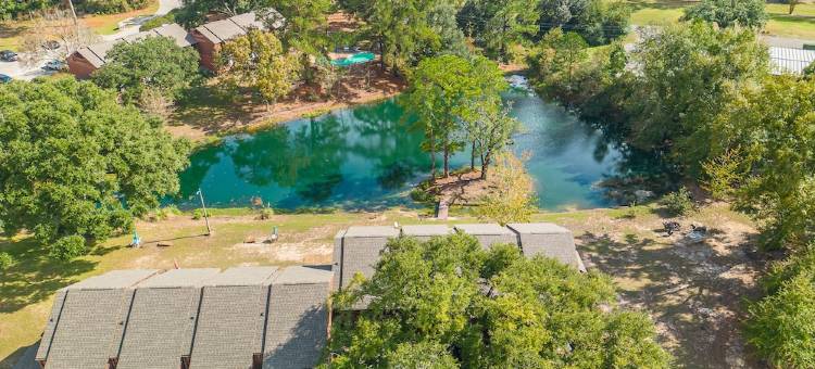 unFOREgettable 19th hole - steps from the Country Club, Golf & Pools - Pets OK!图片
