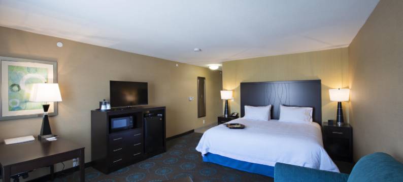 萨斯卡通南希尔顿欢朋酒店(Hampton Inn by Hilton Saskatoon South)图片