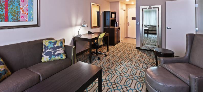 西小石城希尔顿花园酒店(Hilton Garden Inn West Little Rock)图片