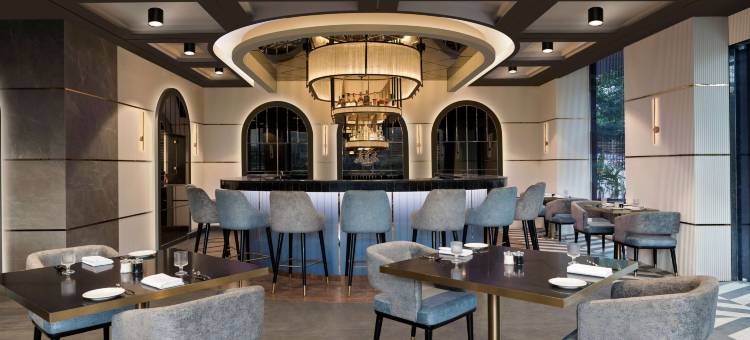 古瓦哈蒂GS路诺富特酒店(Novotel Guwahati GS Road)图片