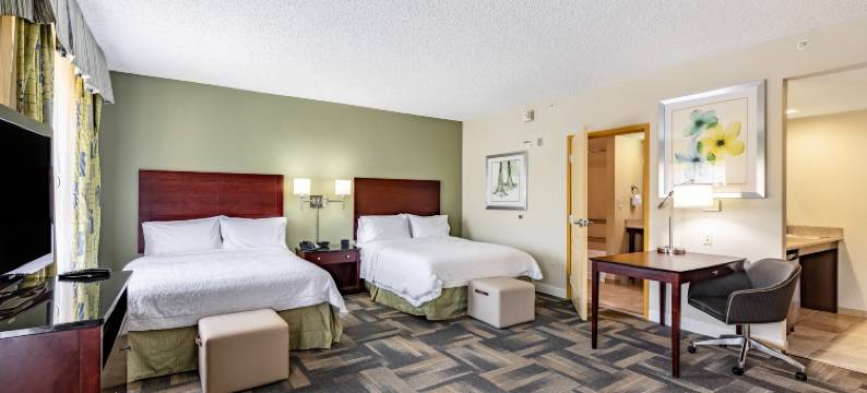 奥兰多南布埃纳维斯塔湖欢朋套房酒店(Hampton Inn & Suites Orlando-South Lake Buena Vista)图片