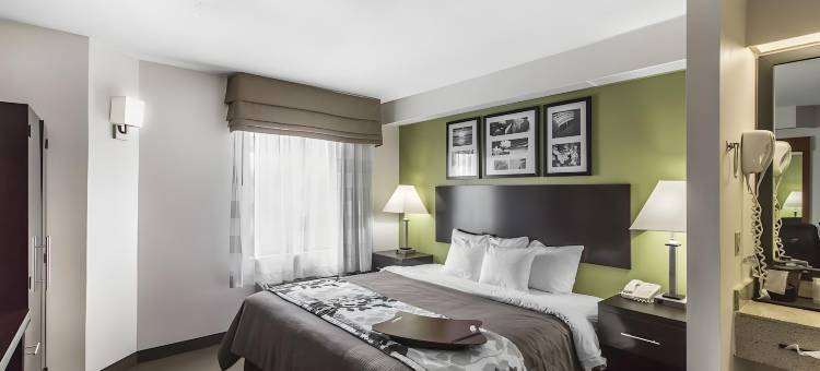 罗德威酒店(Rodeway Inn)图片