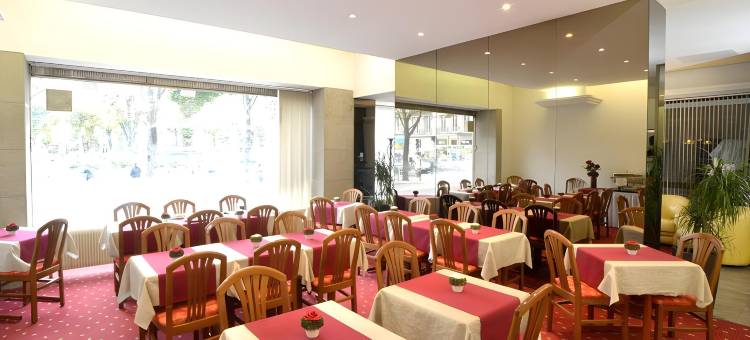 安格莱特利酒店(Hôtel D’Angleterre Grenoble Hyper-Centre)图片