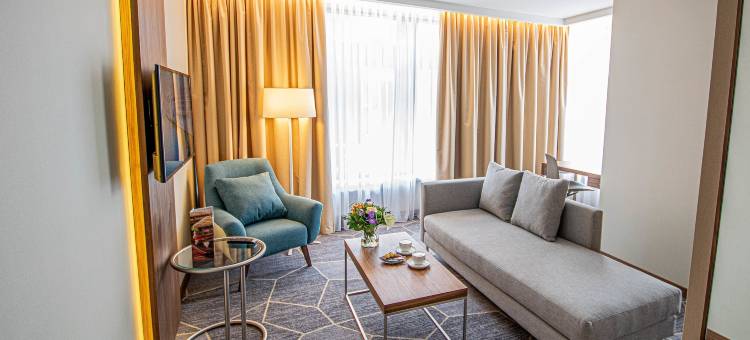 Crowne Plaza 马斯特里赫特(Crowne Plaza Maastricht by IHG)图片
