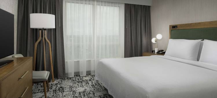 杜勒斯北劳登希尔顿安泊酒店(Embassy Suites by Hilton Dulles North Loudoun)图片