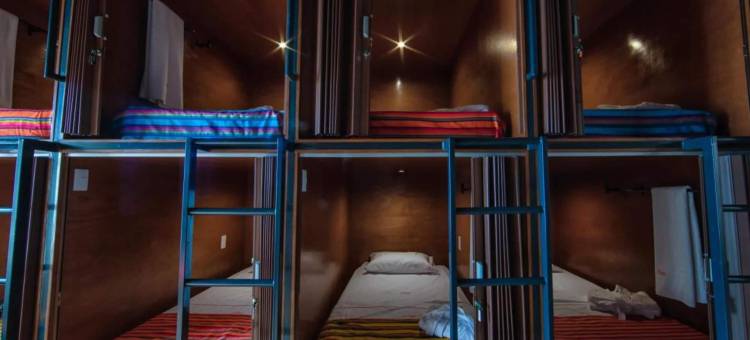 OYO霍斯塔尔米奇(OYO Hostal Mich)图片