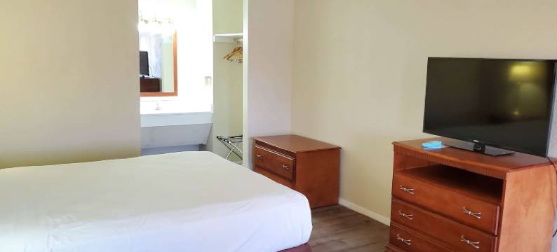 德克萨斯尚罗克 6 号汽车旅馆(Motel 6 Shamrock, TX)图片