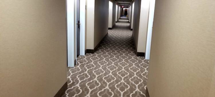 伊利 - 普雷斯克岛附近舒适酒店(Comfort Inn, Erie - Near Presque Isle)图片