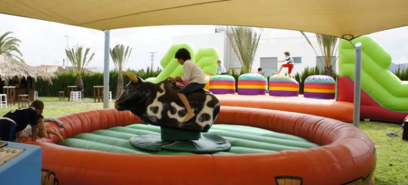 奥利瓦海滩酒店(ApartHotel Playa Oliva)图片