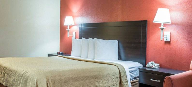 品质酒店及套房(Quality Inn & Suites)图片