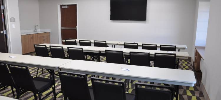 拉伯克温德姆麦客达套房酒店(Microtel Inn & Suites by Wyndham Lubbock)图片