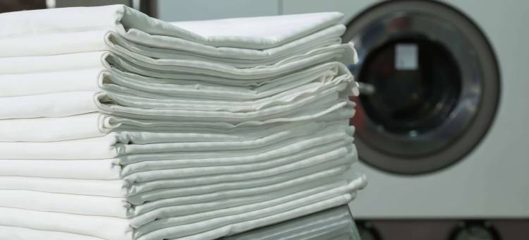 卓普泰恩小屋(Drop Tyne Lodge)图片