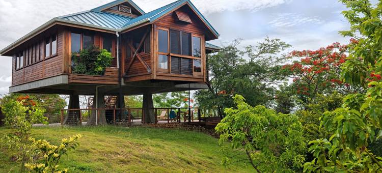 秘境湾别墅(Secret Bay)图片