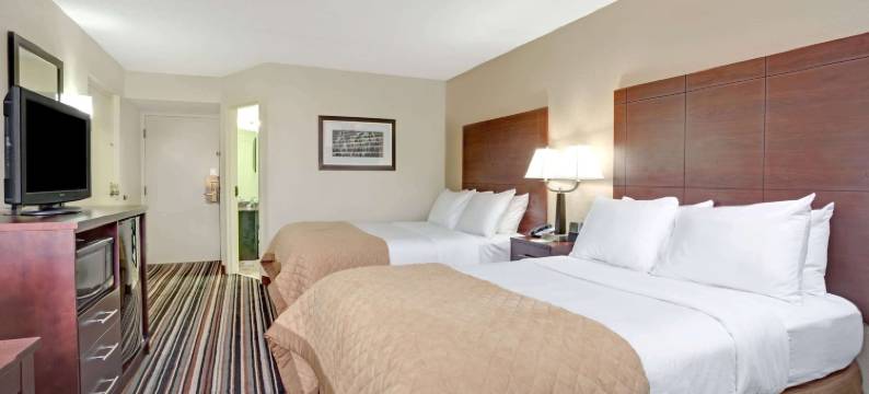 夏洛特机场东南温德姆花园酒店(Wyndham Garden Charlotte Airport Southeast)图片