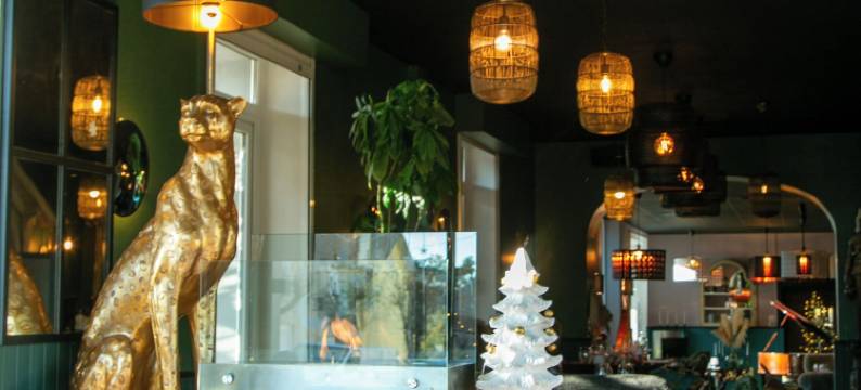 皮斯酒店(Hôtel des Pins)图片