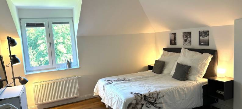 霍亨多夫城堡(Schloss Hohendorf)图片