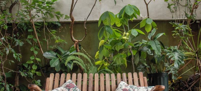 胡安·桑塔玛丽亚机场花园屋，阿拉胡埃拉，圣何塞(Gardens House, Airport Juan Santamaría, Alajuela, San José)图片