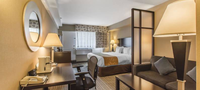 市中心舒适套房(Comfort Suites Downtown)图片