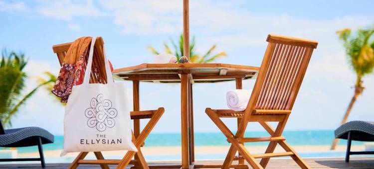 爱丽舍精品酒店(The Ellysian Boutique Hotel)图片