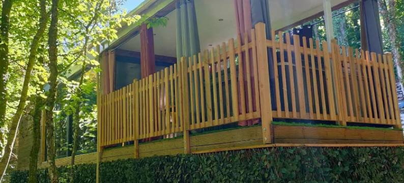 铁之天使(La Cabane Enchanteresse)图片