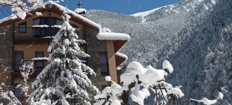 拉尼优公寓(Apartaments la Neu-Mountain Lodges & Restaurant)图片