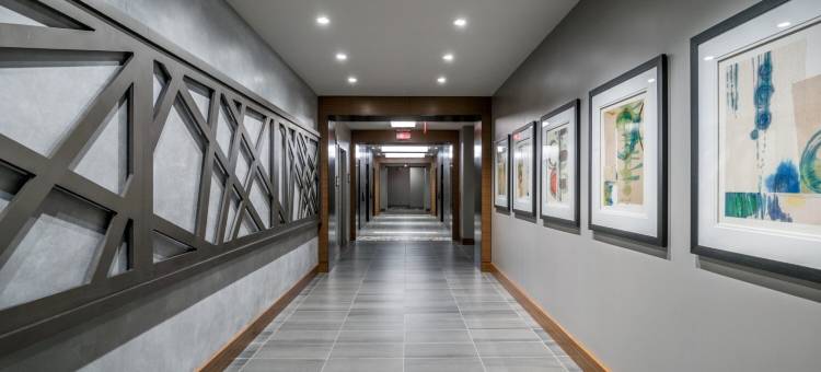 莱斯顿市中心全球奢华套房酒店(Global Luxury Suites at Reston Town Center)图片