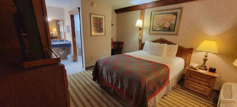 萨吉诺华美达套房酒店(Ramada by Wyndham Saginaw Hotel & Suites)图片