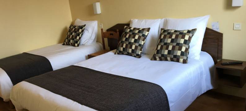 海豚酒店(Hôtel le Dauphin)图片