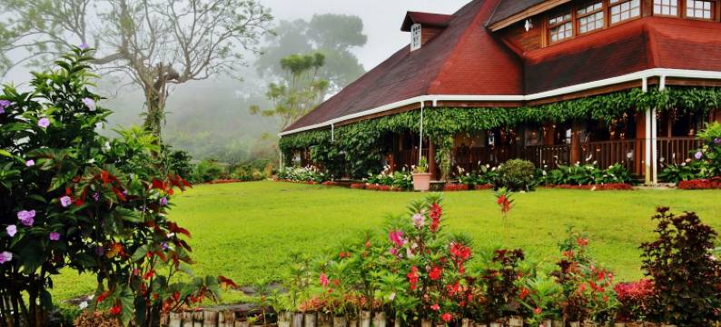 芬卡汉堡拉鲁塔德尔咖啡酒店(Finca Hamburgo la Ruta del Cafe)图片