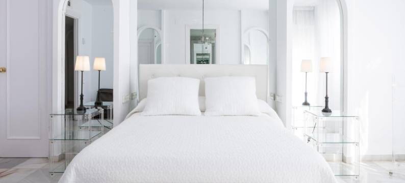 阿尔巴辛滨海套房酒店(Hotel Suites Albayzin Del Mar)图片