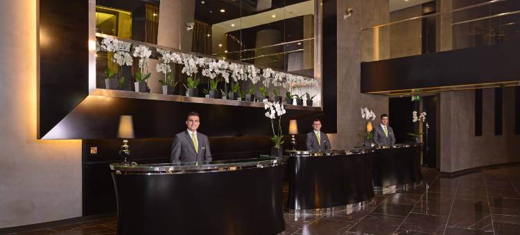 安曼罗塔纳酒店(Amman Rotana)图片