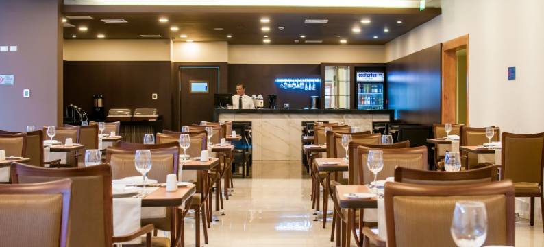 库里科阿尔马格罗迪亚哥酒店(Hotel Diego de Almagro Curicó)图片