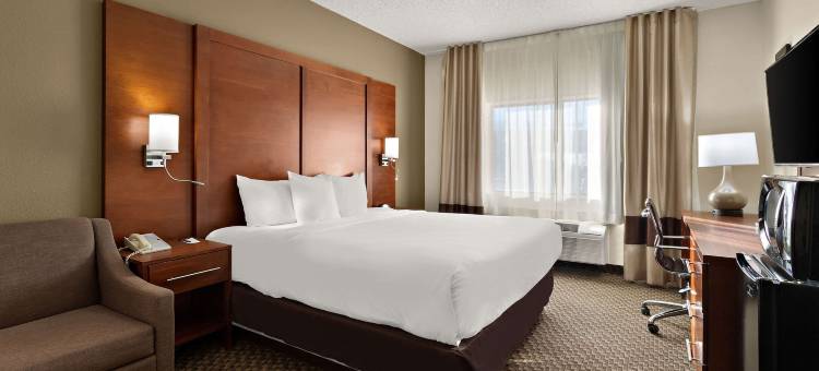 拉斯克鲁塞斯综合康福特套房套房(Comfort Suites University)图片