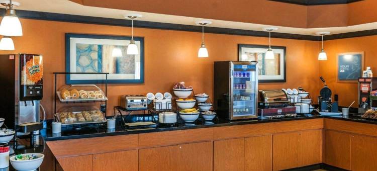 雅芳-印第安纳波利斯西舒适酒店(Comfort Inn Avon-Indianapolis West)图片