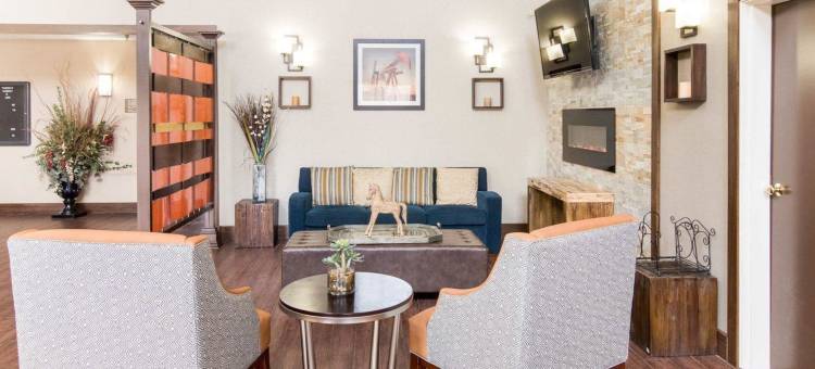 舒适套房酒店(Comfort Suites)图片