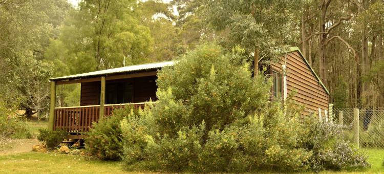 钻石林场农家乐(Diamond Forest Farm Stay)图片