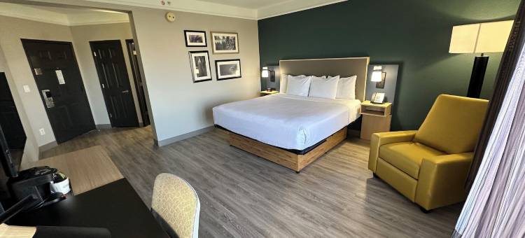 达拉斯阿林顿南拉昆塔温德姆套房酒店(La Quinta Inn & Suites by Wyndham Dallas Arlington South)图片