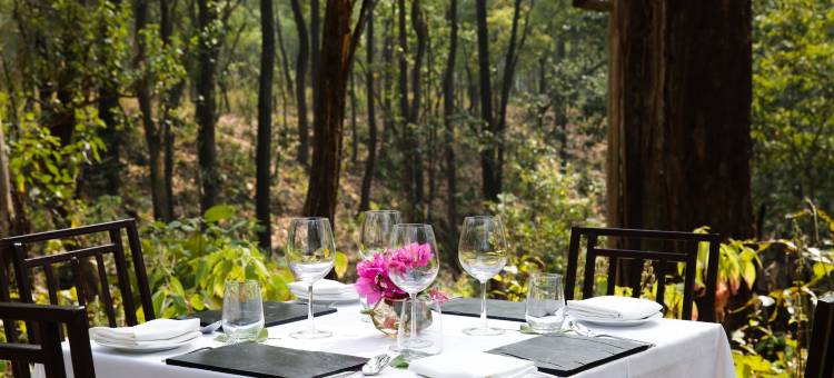 Saraca Corbett住宿(Saraca Resort & Spa Corbett)图片