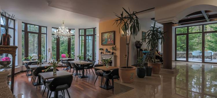 汤姆别墅(Villa Tom)图片