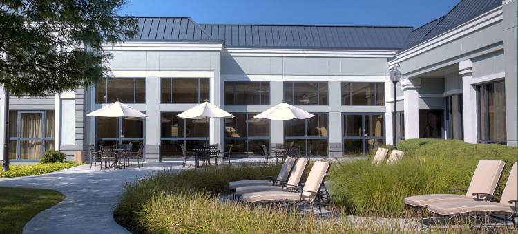 底特律诺维希尔顿逸林酒店(DoubleTree by Hilton Detroit Novi)图片