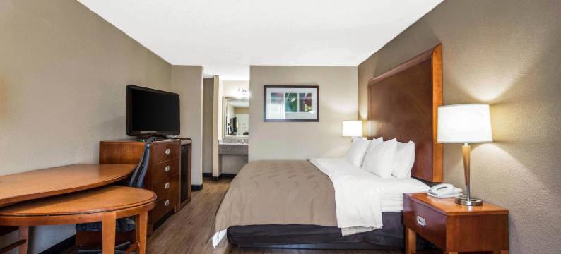 大学区凯艺套房酒店(Quality Inn & Suites University Area)图片