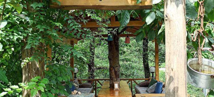 尼赫尔平房酒店(Nehir Bungalows-26436)图片