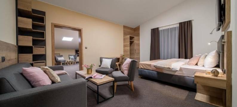 泽莱尼波托克酒店(Hotel Zeleny Potok)图片