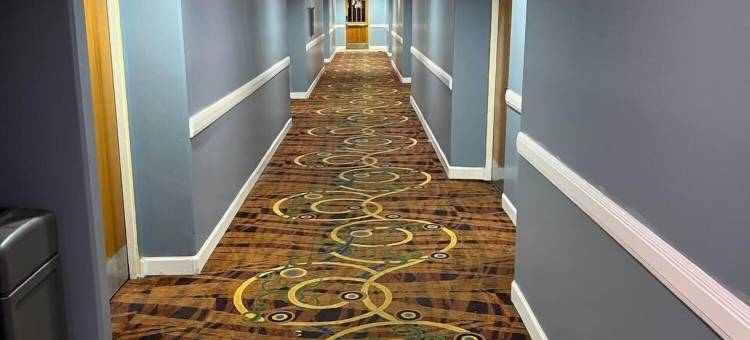舒适酒店-近赫斯特城堡-坎布里亚(Comfort Inn Near Hearst Castle - Cambria)图片