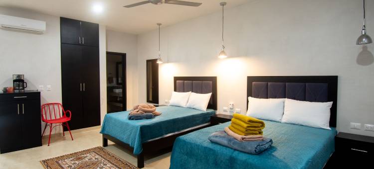 图兰龟屋酒店-塞诺特公园全包(Hotel Casa Tortuga Tulum - Cenotes Park Inclusive)图片