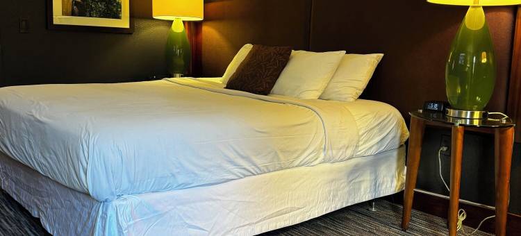 豪华酒店(Lux Hotel)图片