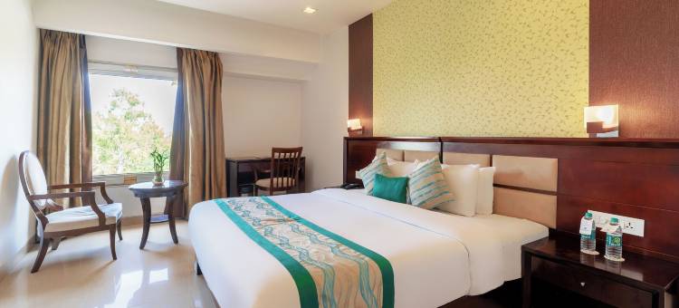地平线酒店(Horizon Hotel)图片