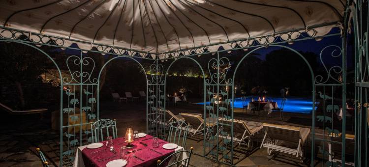 比杰伊布尔城堡酒店(Hotel Castle Bijaipur)图片