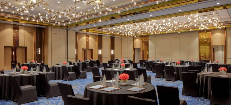 特里凡得琅凯悦酒店(Hyatt Regency Trivandrum)图片