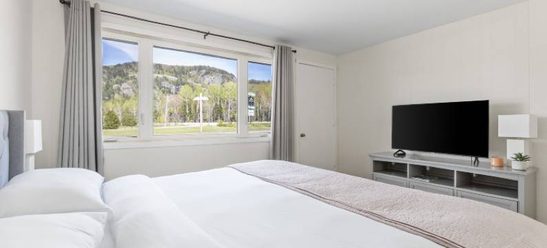 麦考利的哈维兰湾(McCauley's Havilland Bay)图片